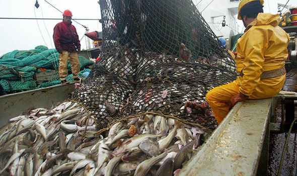 National Federation of Fishermen’s Organisations (NFFO) Trawler men need their own English Minister to protect their fishing rights