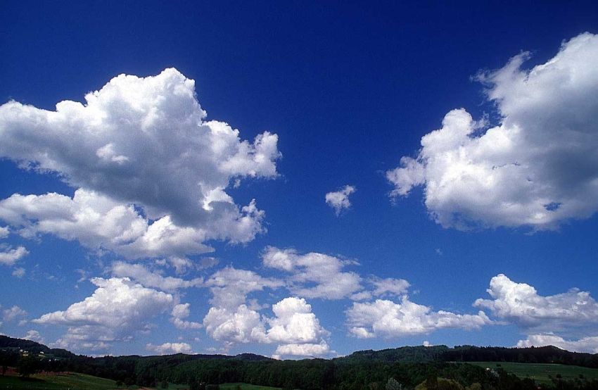 A green (English) future?, Brexit Agriculture Bill