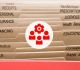 Holding Organisations Accountable